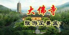 免费观看又骚骚又黄的视频中国浙江-新昌大佛寺旅游风景区